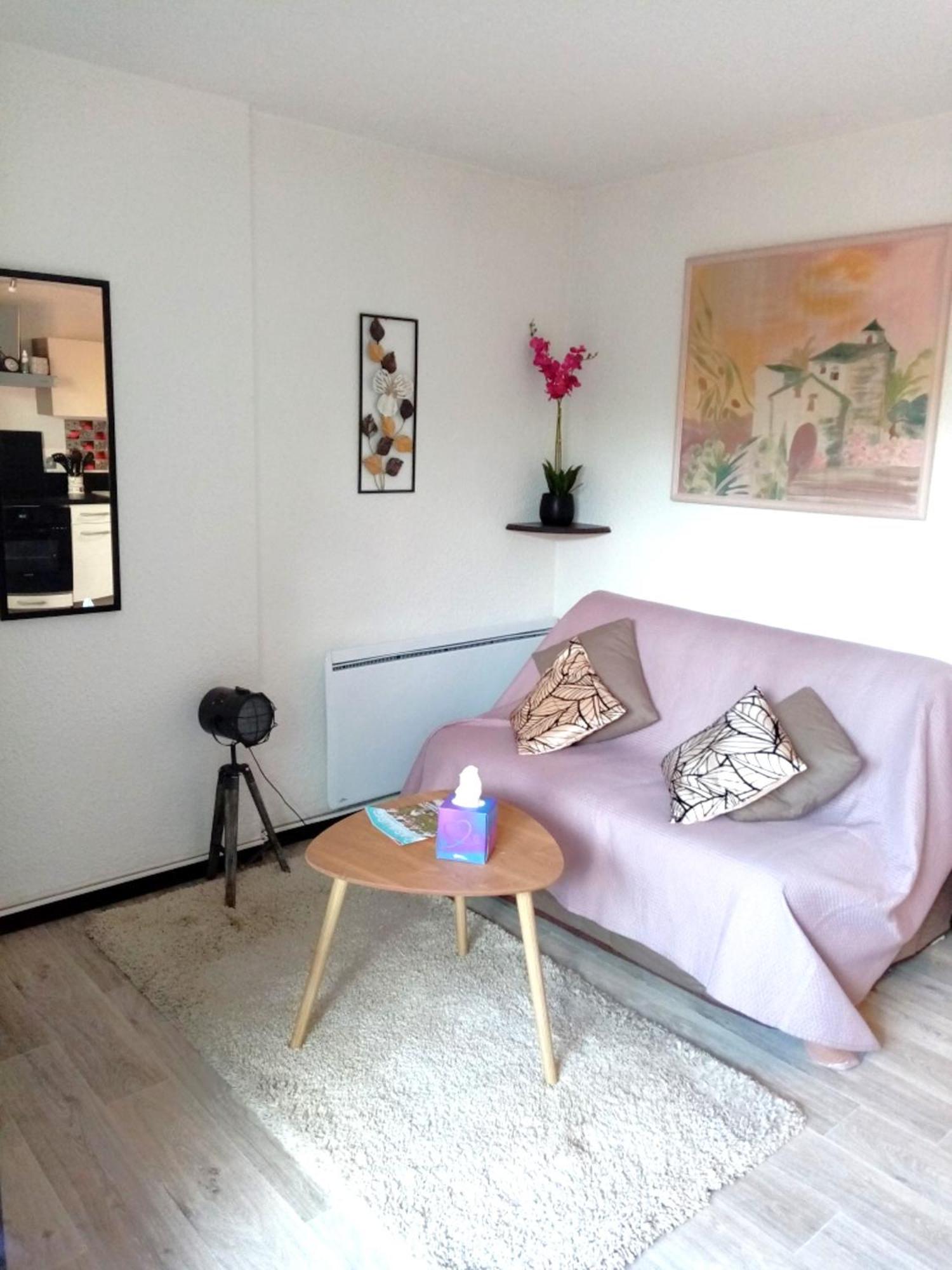 Cabourg Agreable T2 Residence Calme - Terrasse 20M2 - Animaux Bienvenus 外观 照片